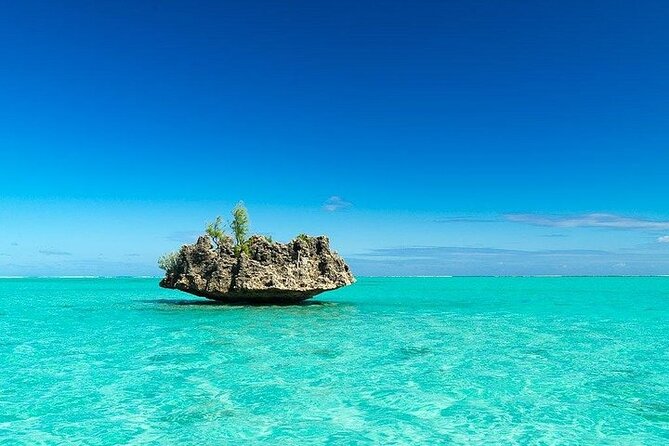 Private Speed Boat Tour and Dolphin Encounter at Ile aux Benitier - Ile aux Benitiers: lunch on the island, lagoon time, and beach wandering