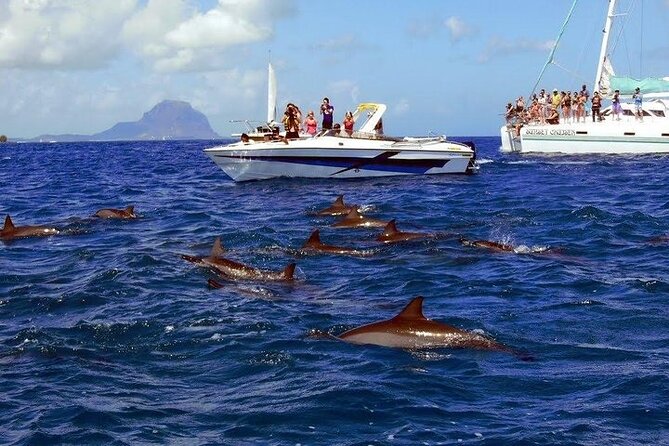 Private Speed Boat Tour and Dolphin Encounter at Ile aux Benitier - Price and value: is $312.02 per person worth it?