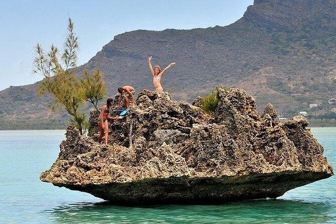 Private Speed Boat Tour and Dolphin Encounter at Ile aux Benitier - Who this tour suits best (and who should think twice)