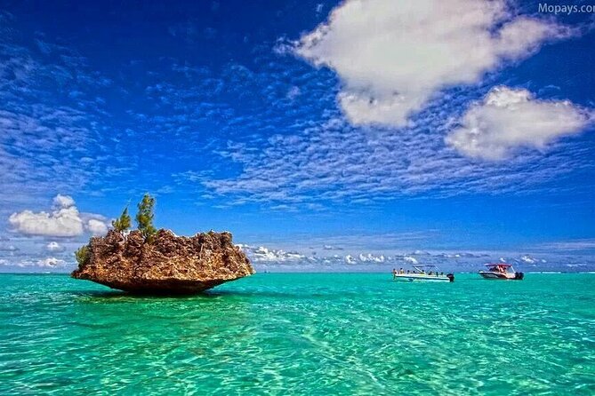Private Speed Boat Tour and Dolphin Encounter at Ile aux Benitier - Should you book this Private Speed Boat and Dolphin Encounter at Ile aux Benitier?