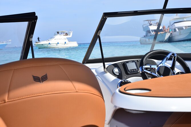 Private Speedboat Dolphins and Snorkelling Cruise in Hurghada - A Private Speedboat Dolphin Hunt in Hurghada