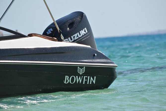 Private Speedboat Dolphins and Snorkelling Cruise in Hurghada - Dolphins, Weather, and the 80% Expectation