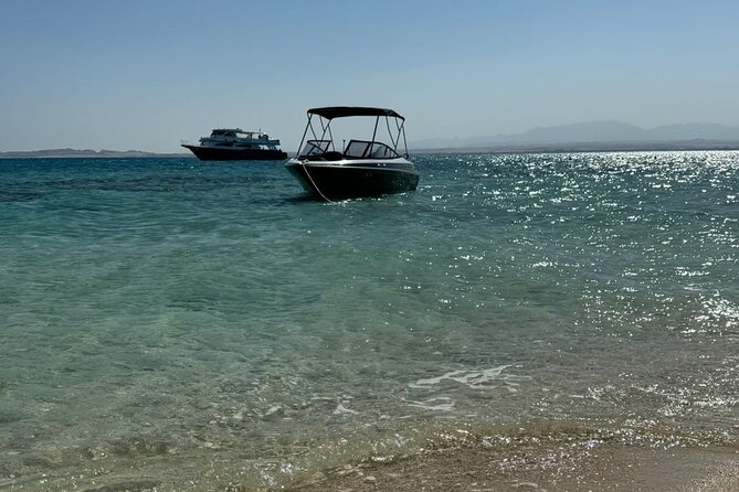 Private Speedboat Dolphins and Snorkelling Cruise in Hurghada - Who This Hurghada Dolphin and Snorkelling Cruise Suits Best