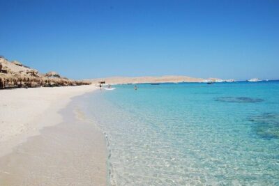 Private Speedboat To Dolphin House & Magawish Island _ Hurghada - Magawish Island Time: 2 Hours for Coral Gardens and Fish Watching