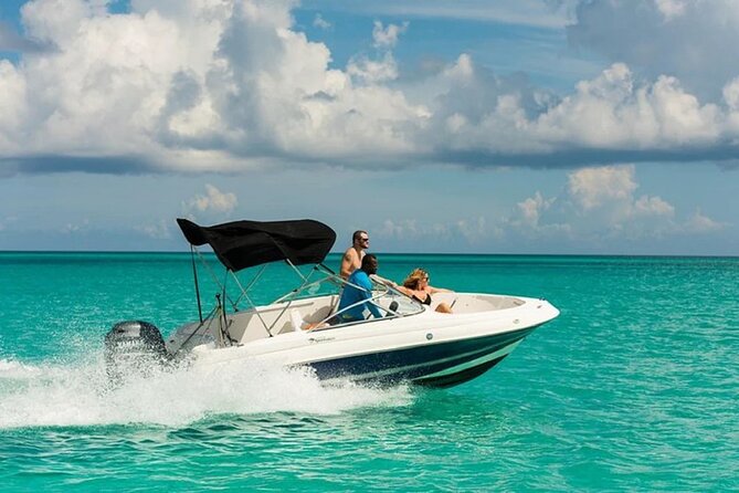 Private Speedboat To Dolphin House With Parasailing - Hurghada - The Dolphin House speedboat day: what 4 hours is really like