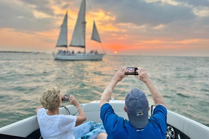 Private Sunset and Dolphin Tour in St. Petersburg, Florida - What You’ll See: Dolphins, Wildlife, and a Real Water-Level View