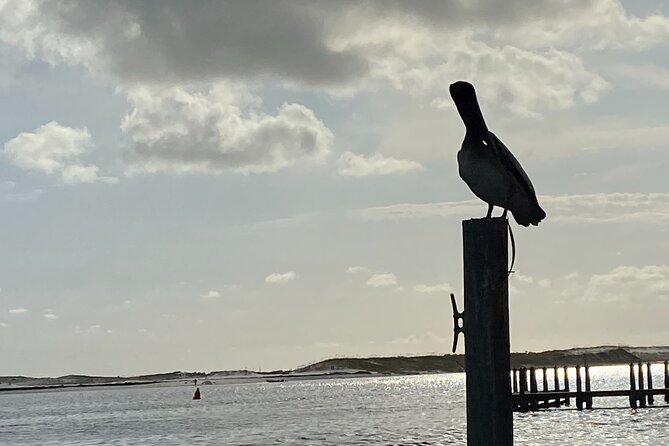 Private Sunset and Eco Tour in Destin-Up to 16 Guests - Private Pontoon Sunset in Destin Harbor