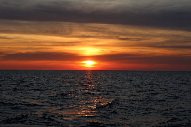 Private Sunset Dolphin Excursion with Dinner and Animation - Kamenjak and the Dolphin Search: Where the Magic Window Lives