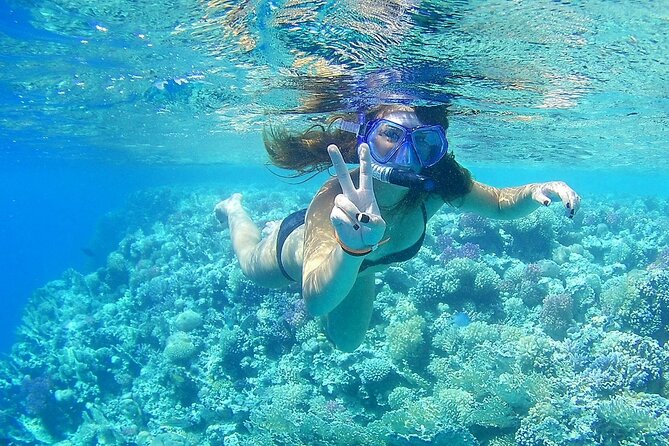 PRIVATE TOUR ! 4-Hours Swiming with dolphins, snorkeling, island by speed boat - The Shipwreck Stop: A Snorkel Designed for Wow Moments