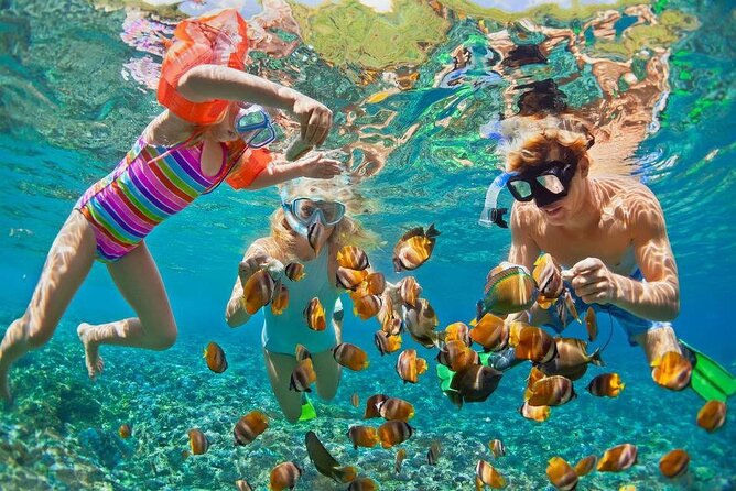 PRIVATE TOUR ! 4-Hours Swiming with dolphins, snorkeling, island by speed boat - Abu Minquar Island: The Change of Pace on the Route