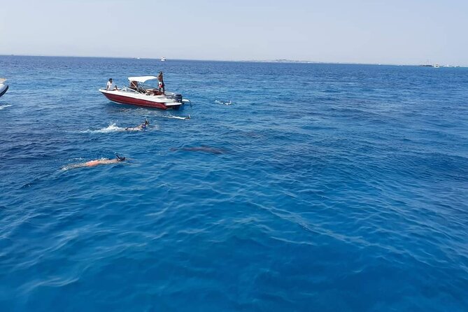 PRIVATE TOUR ! 4-Hours Swiming with dolphins, snorkeling, island by speed boat - What’s Included on Board (and What It Means for You)