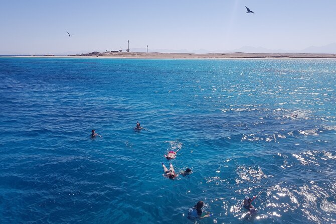 PRIVATE TOUR ! 4-Hours Swiming with dolphins, snorkeling, island by speed boat - Price and Value: Is $160.80 Worth It?