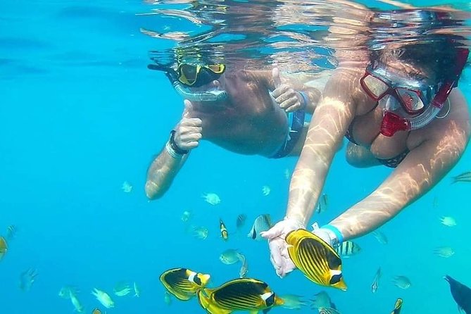 PRIVATE TOUR ! 4-Hours Swiming with dolphins, snorkeling, island by speed boat - The Real Logistics: Pickup, Timing, and What to Bring