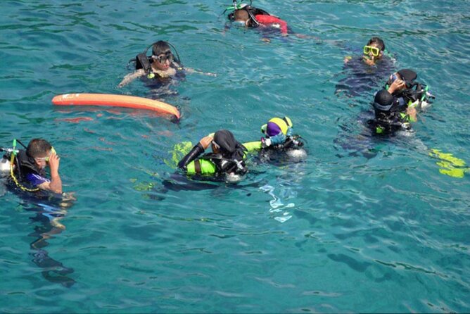 Private Tour to Dolphins house Sea hero of Egypt snorkeling - FAQ