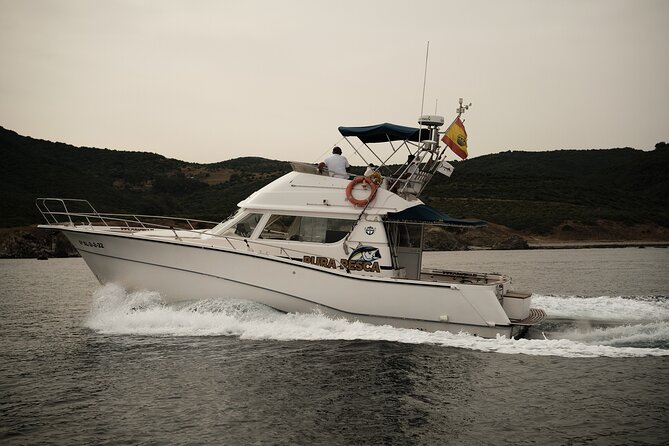 Private Tour with Dolphin Watching in Algeciras Bay - Key Things I’d Plan Around