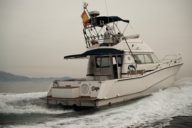 Private Tour with Dolphin Watching in Algeciras Bay - Dolphin Watching in Algeciras Bay: Strait of Gibraltar in Two Hours