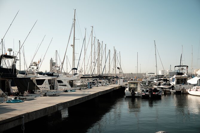 Private Tour with Dolphin Watching in Algeciras Bay - On the Schedule: Confirmation, Mobile Tickets, and English-Friendly Info
