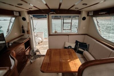 Private Tour with Dolphin Watching in Algeciras Bay - How Your Private Boat Trip Gets You Out on the Water