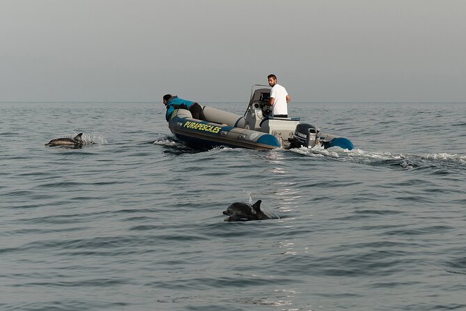 Private Tour with Dolphin Watching in Algeciras Bay - What’s Included, What Isn’t, and How to Pack Smart