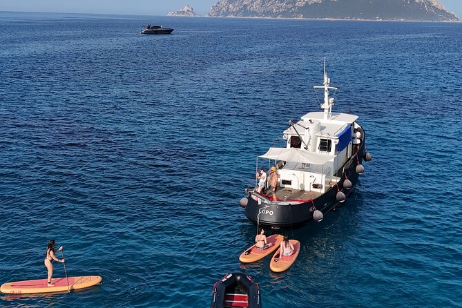 Private Tour with Historic Tugboat: Tavolara, Molara, Dolphins - Price and value: what $1,312.48 buys for up to 12 people