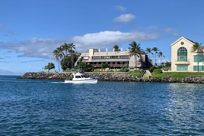Private Whale Watching and Dolphin Excursion - Southeast Oahu scenery: Waikiki to Diamond Head without the traffic