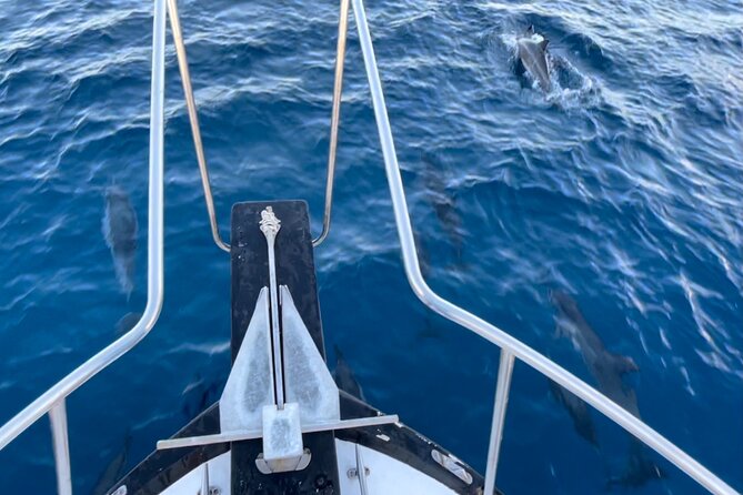 Private Whale Watching and Dolphin Excursion - Snacks and drinks: the small detail that affects your whole mood