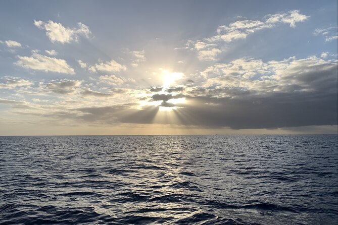 Private Whale Watching and Dolphin Excursion - The 2-hour flow: what happens once you’re underway