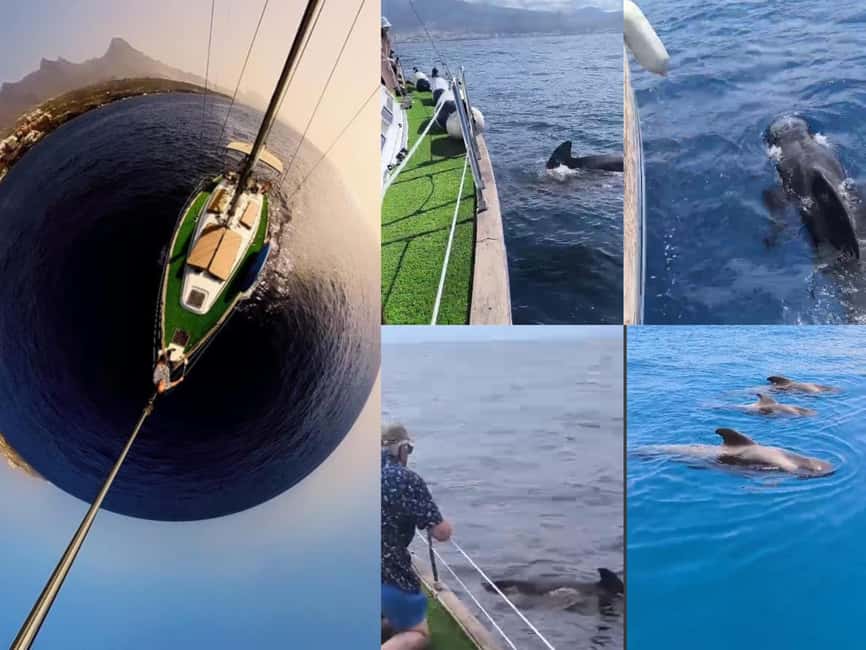 Private Whales & Dolphins Excursion: for you exclusively! - Swimming Off the Yacht: Snorkeling and Stand-Up Paddleboarding