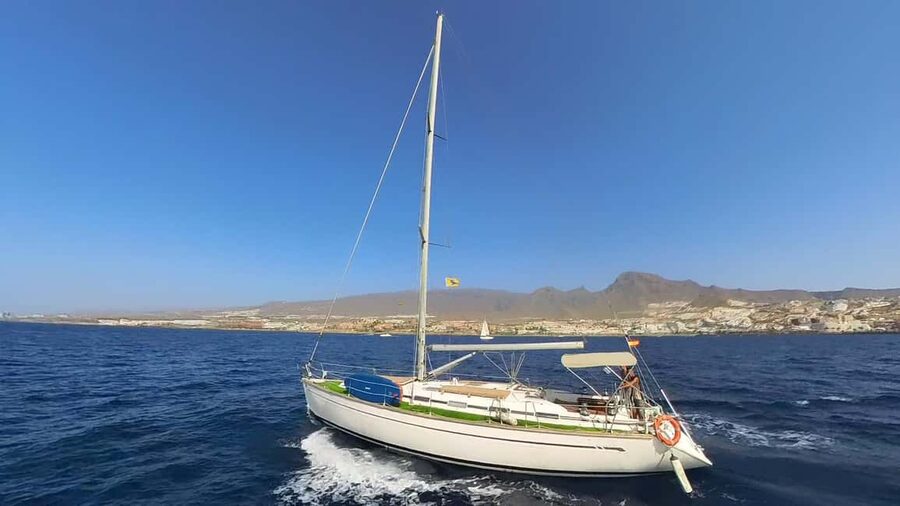Private Whales & Dolphins Excursion: for you exclusively! - Unlimited Drinks, Tapas, and Music That Keep the Mood Easy
