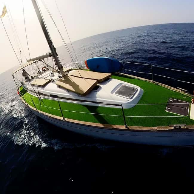 Private Whales & Dolphins Excursion: for you exclusively! - Price: Is $530 per Group Good Value?