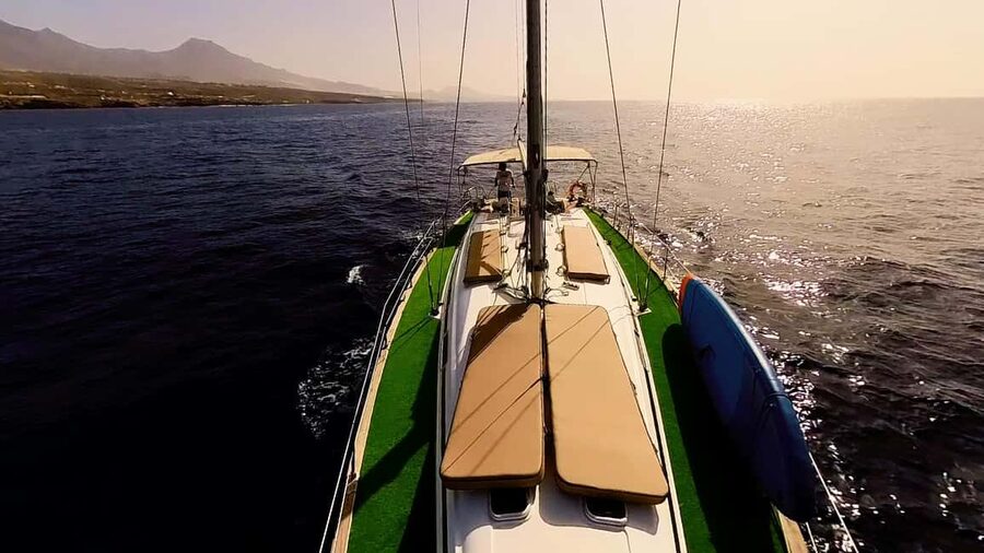 Private Whales & Dolphins Excursion: for you exclusively! - The Human Side: Captains Like Roberto and Noel Matter