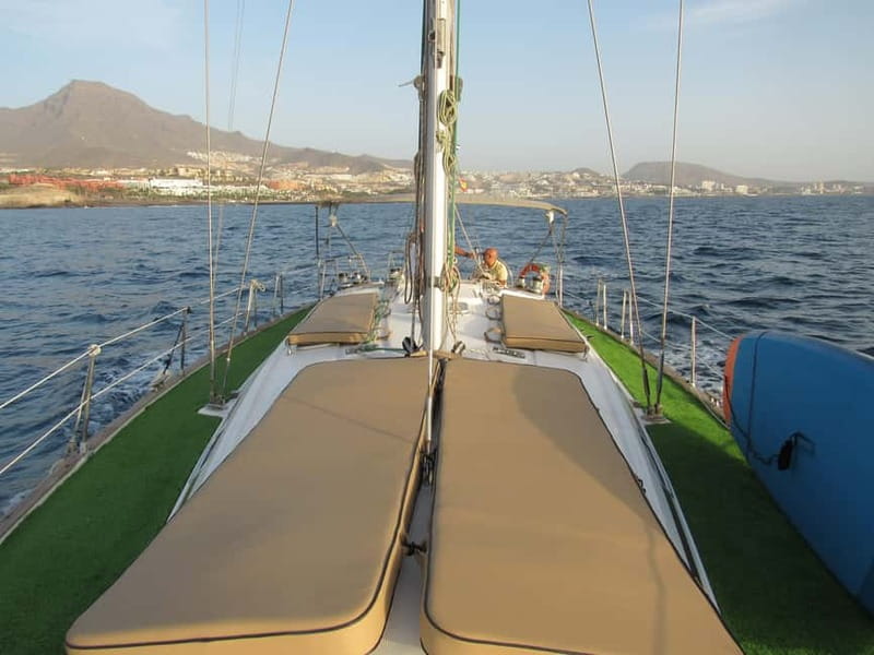 Private Whales & Dolphins Excursion: for you exclusively! - A Note on Cancellations and Backup Thinking