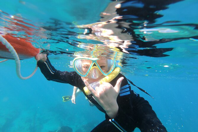 Private Wild Dolphin Encounter Day Trip - Guided snorkeling stops: how this tour keeps it respectful