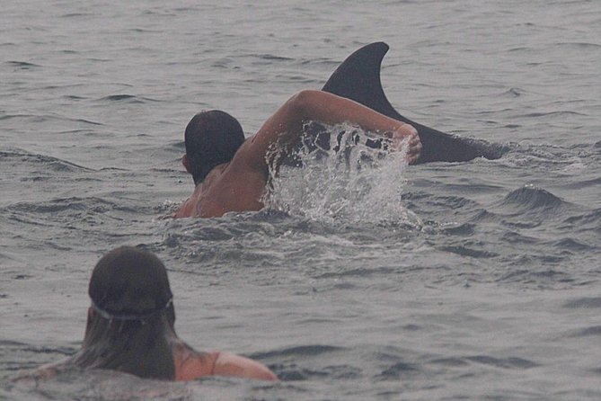 Private Wild Dolphin Encounter in Puerto Vallarta - Bahia de Banderas: Why This Area Works for Wild Dolphin Viewing