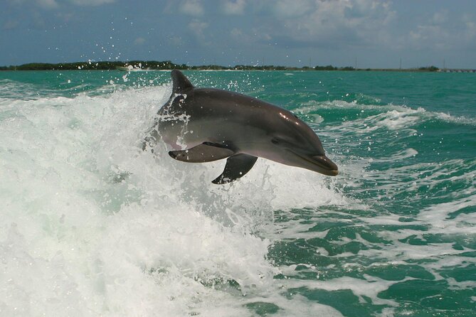 Private Yacht Cruise to Dolphin House with Lunch : Hurghada - Who This Private Yacht Cruise Is Best For