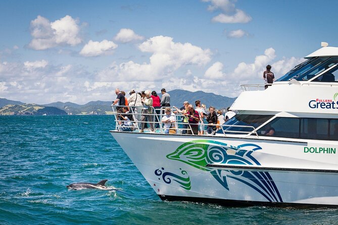 Private Yacht Cruise to Dolphin House with Lunch : Hurghada - Two Snorkeling Stops With a Pro: Equipment, Instructor Support, and Timing