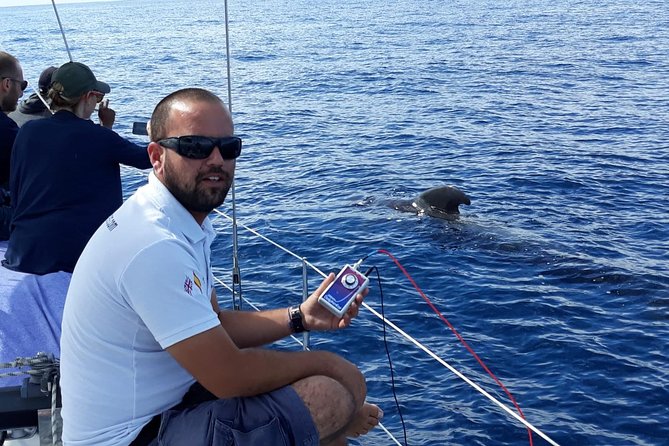 Private Yacht Tour With Whale and Dolphin Watching 42 Foot Boat - Price and Value: What You’re Really Paying For