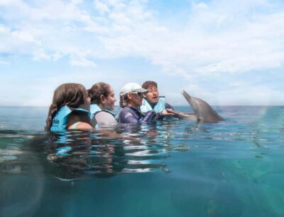 Puerto Aventuras: Dolphin and Manatee Interaction with Lunch - What the 2-hour program looks like, step by step