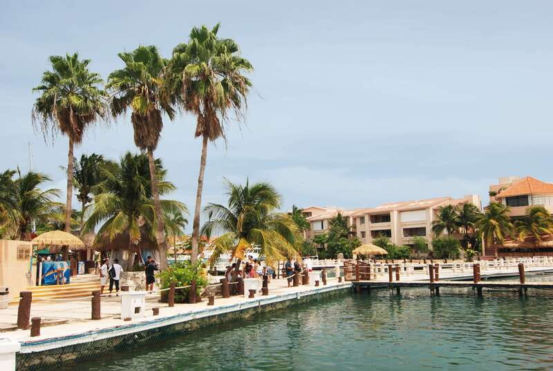 Puerto Aventuras: Dolphin Encounter with Buffet Lunch - Marina access: using your time after the encounter