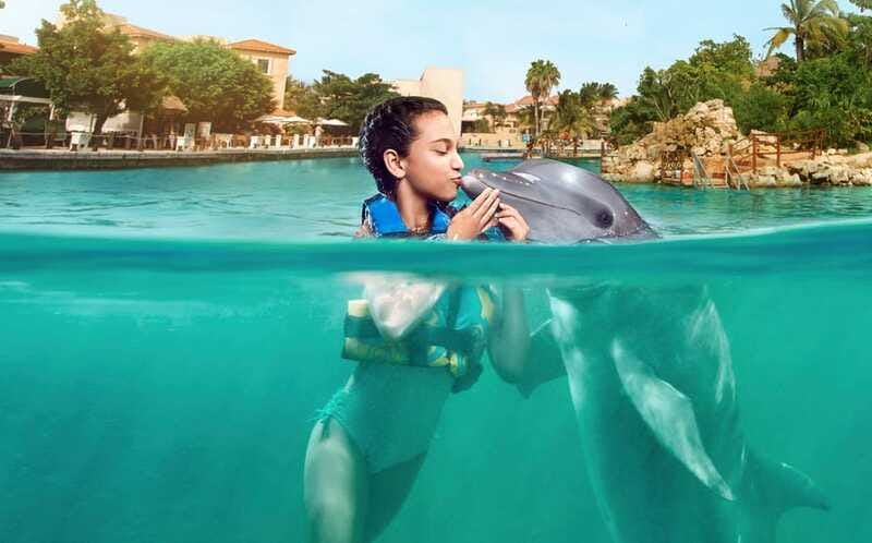 Puerto Aventuras: Dolphin Encounter with Buffet Lunch - Getting there: transportation is on you