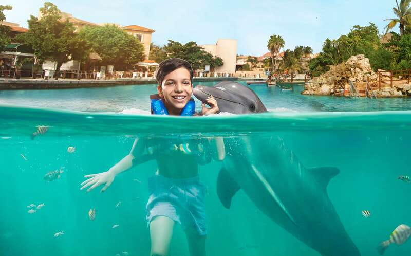 Puerto Aventuras: Dolphin Swim, Sea Lions, Manatees, & Lunch - The dolphin swim: What you do, and what you get out of it