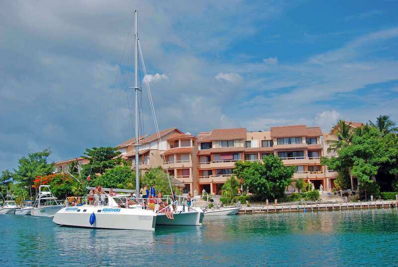 Puerto Aventuras: Dolphin Swim, Sea Lions, Manatees, & Lunch - Family and height rules: The one detail you must check