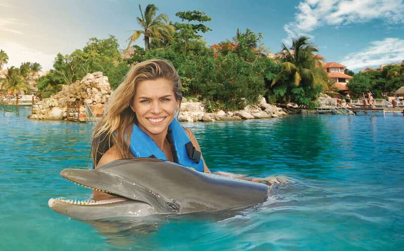 Puerto Aventuras: Dolphin Swim, Sea Lions, Manatees, & Lunch - Royal Swim Plus schedule: Dolphins first, then sea lions and manatees