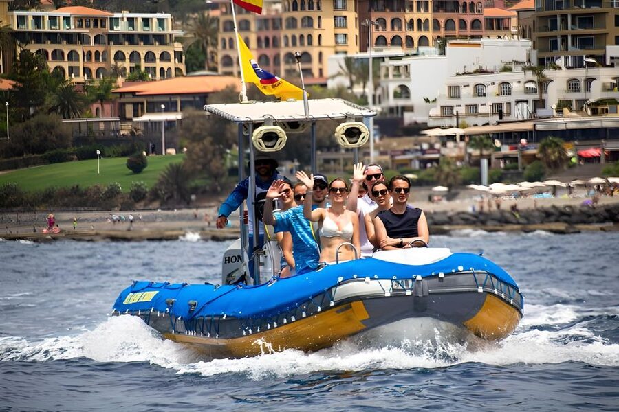 Puerto Colon: Dolphin and Whale Watching Speedboat Cruise - Key things that make this cruise worth your time