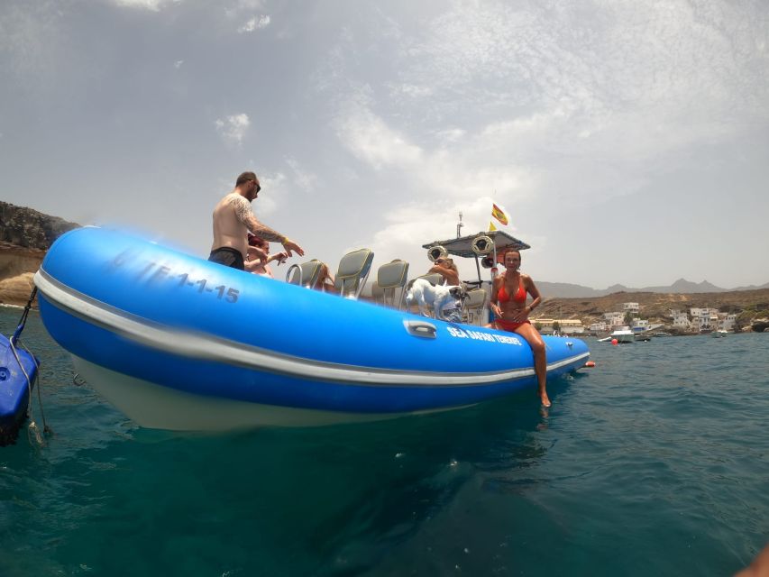 Puerto Colon: Dolphin and Whale Watching Speedboat Cruise - The bay swim stop: cliffs, snacks, and snorkel gear