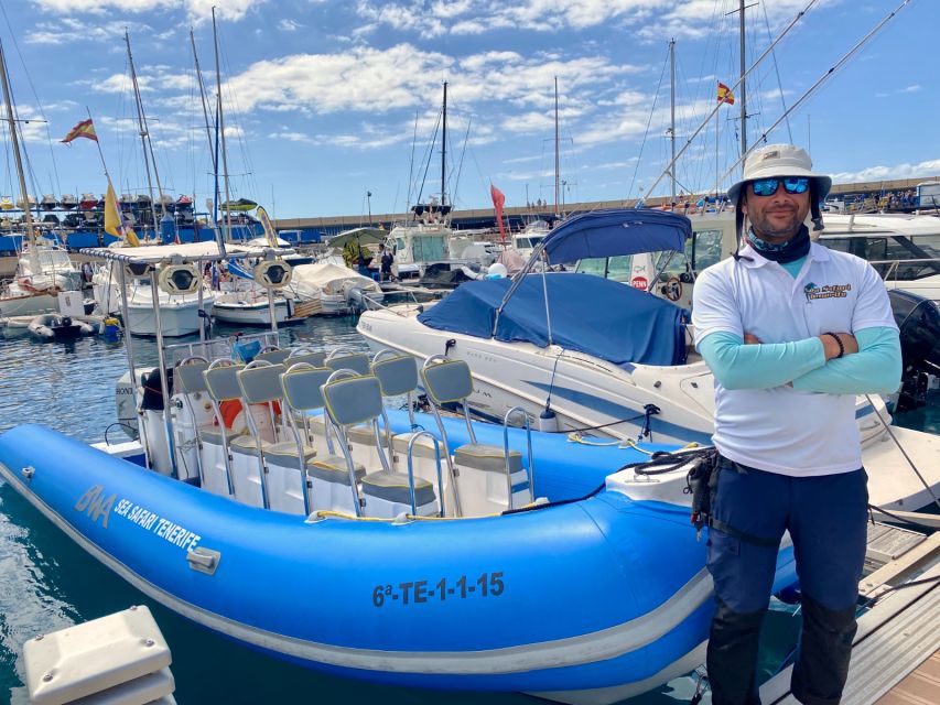Puerto Colon: Dolphin and Whale Watching Speedboat Cruise - Food and drinks onboard: what the included break really buys you