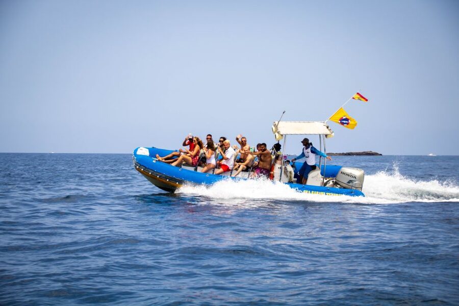 Puerto Colon: Dolphin and Whale Watching Speedboat Cruise - Price and value: is $77 fair for what you get?