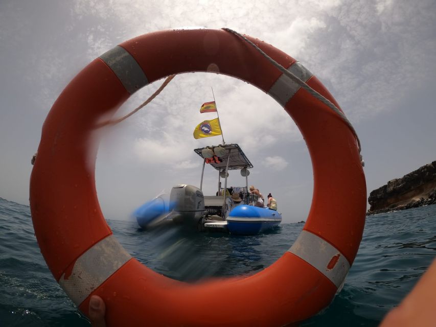 Puerto Colon: Dolphin and Whale Watching Speedboat Cruise - What to bring (and what’s not allowed) for a smooth sea day