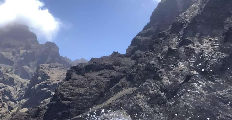 Puerto Colon: Dolphin and Whale Watching Speedboat Cruise - Wildlife spotting on the Atlantic: dolphins, whales, turtles, and more