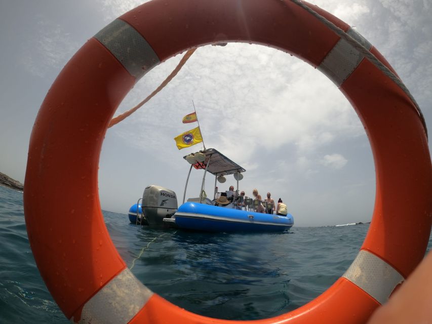Puerto Colon: Dolphin and Whale Watching Speedboat Tour - Key Points You’ll Care About